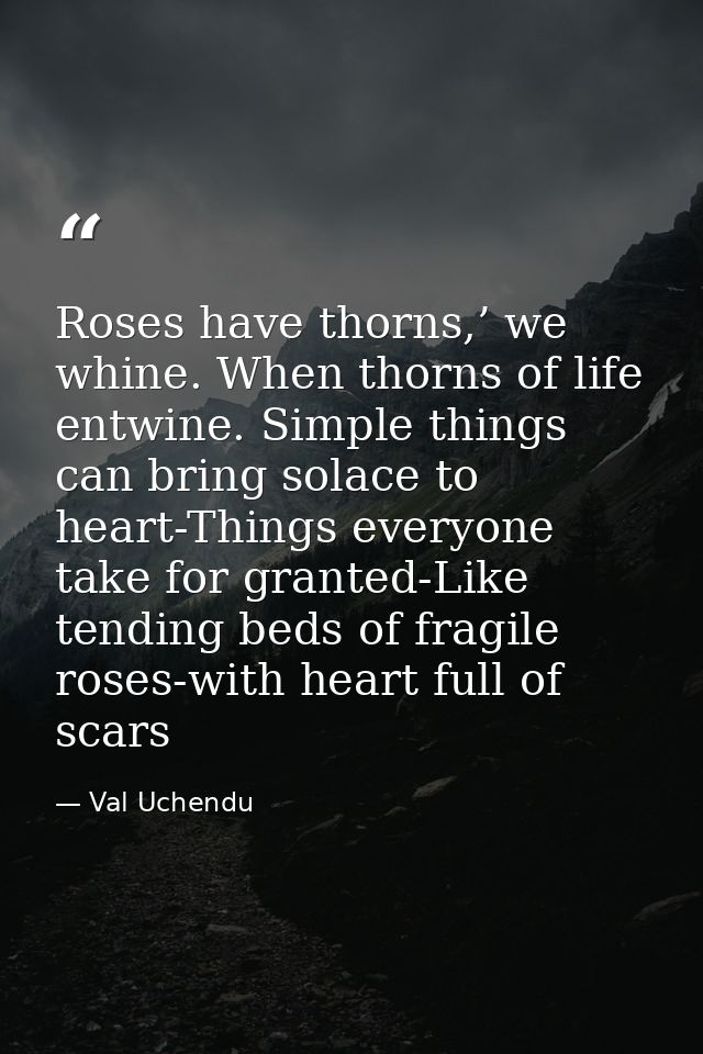 Roses have thorns,’ we whine. When thorns of life entwine. Simple things can bring solace to heart-Things everyone take  — Val Uchendu