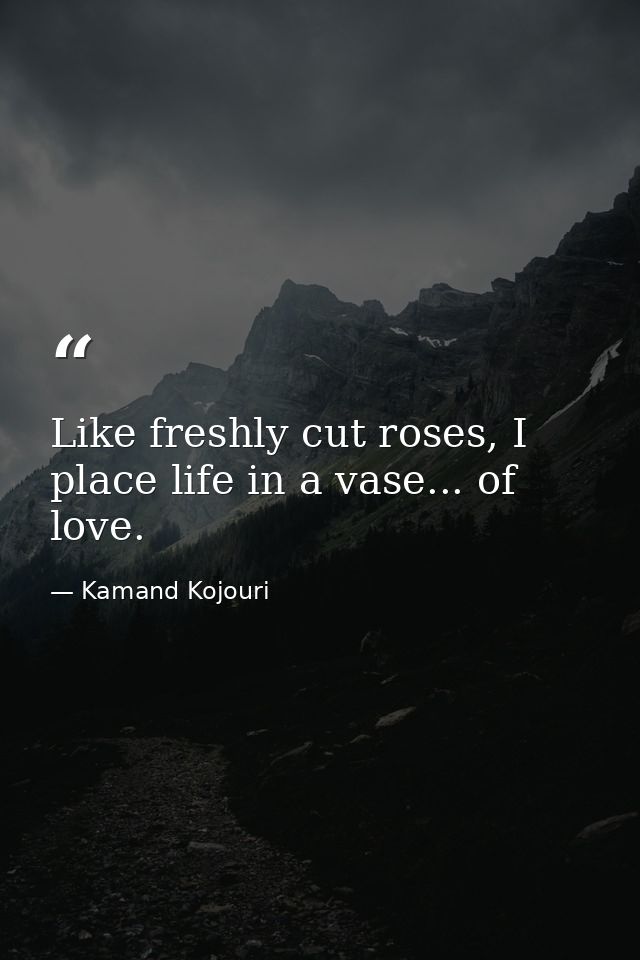 Like freshly cut roses, I place life in a vase... of love. — Kamand Kojouri