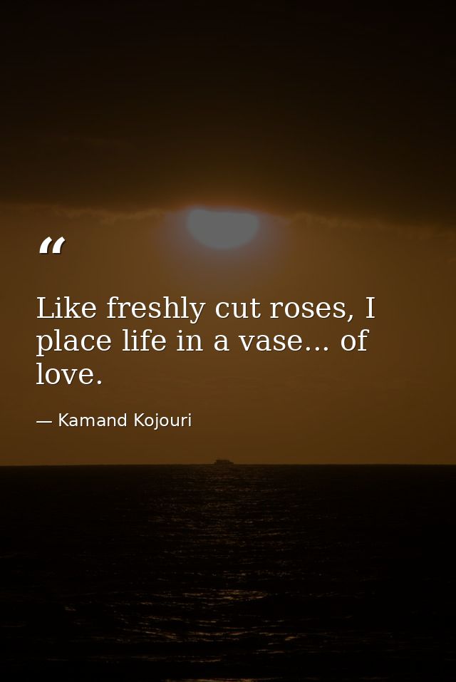 Like freshly cut roses, I place life in a vase... of love. — Kamand Kojouri