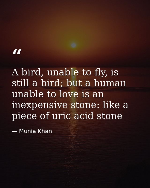 A bird, unable to fly, is still a bird; but a human unable to love is an inexpensive stone: like a piece of uric acid st — Munia Khan