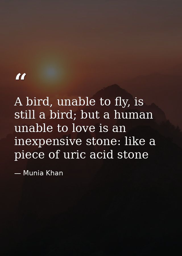A bird, unable to fly, is still a bird; but a human unable to love is an inexpensive stone: like a piece of uric acid st — Munia Khan
