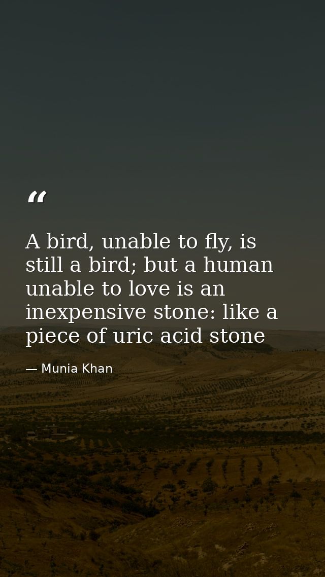A bird, unable to fly, is still a bird; but a human unable to love is an inexpensive stone: like a piece of uric acid st — Munia Khan