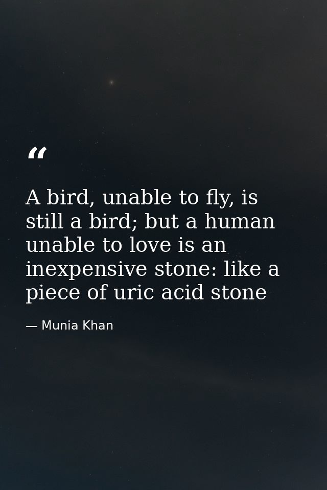 A bird, unable to fly, is still a bird; but a human unable to love is an inexpensive stone: like a piece of uric acid st — Munia Khan