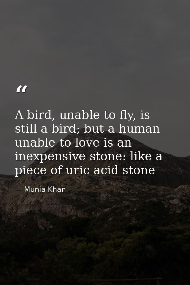 A bird, unable to fly, is still a bird; but a human unable to love is an inexpensive stone: like a piece of uric acid st — Munia Khan