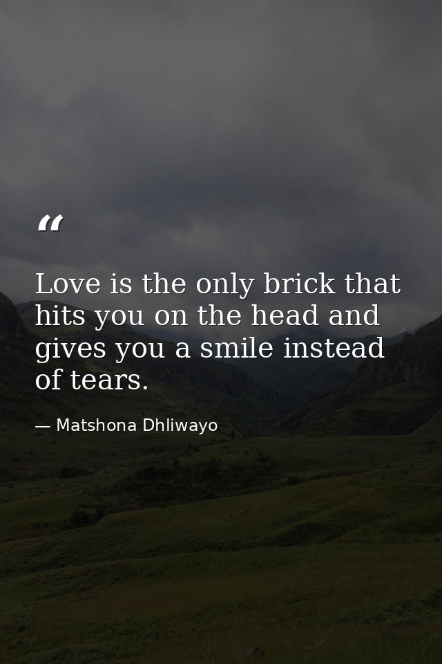 Love is the only brick that hits you on the head and gives you a smile instead of tears. — Matshona Dhliwayo