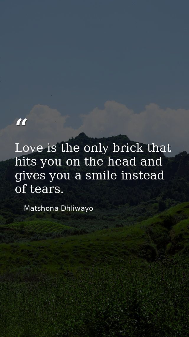 Love is the only brick that hits you on the head and gives you a smile instead of tears. — Matshona Dhliwayo