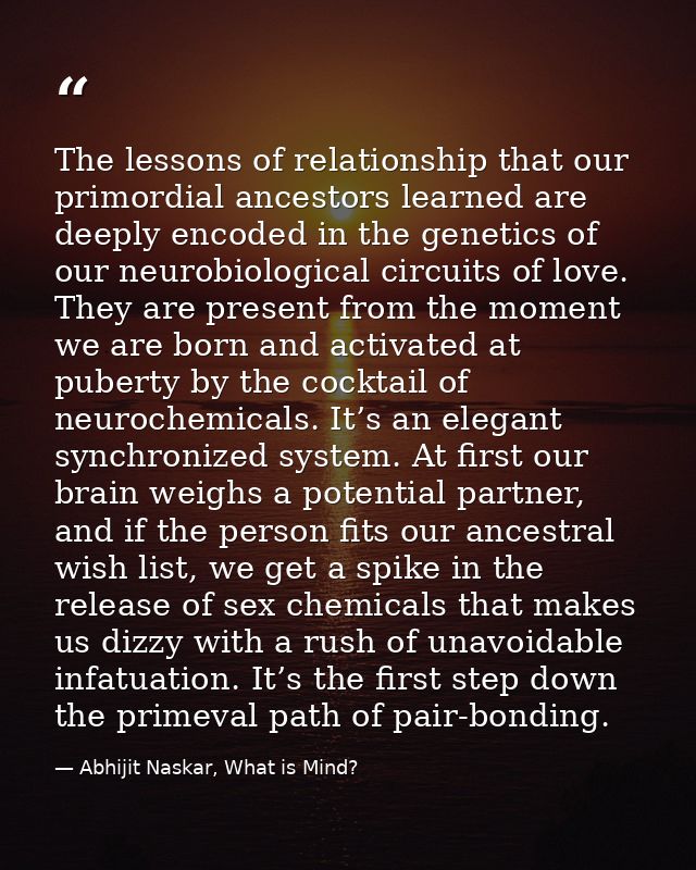 The lessons of relationship that our primordial ancestors learned are deeply encoded in the genetics of our neurobiologi — Abhijit Naskar, What is Mind?