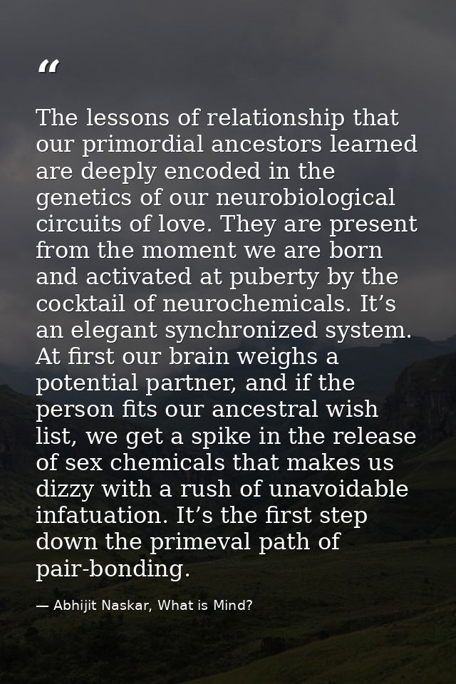 The lessons of relationship that our primordial ancestors learned are deeply encoded in the genetics of our neurobiologi — Abhijit Naskar, What is Mind?