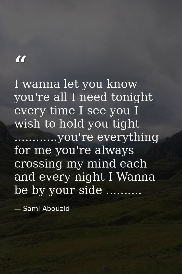 I wanna let you know you're all I need tonight every time I see you I wish to hold you tight ............you're everythi — Sami Abouzid