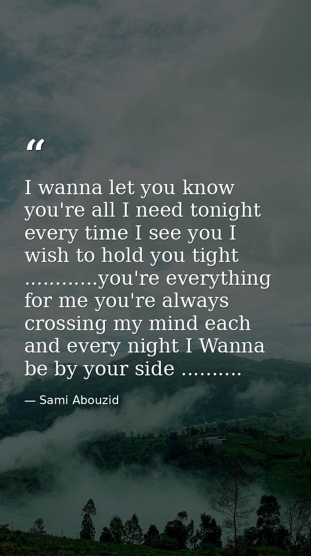 I wanna let you know you're all I need tonight every time I see you I wish to hold you tight ............you're everythi — Sami Abouzid