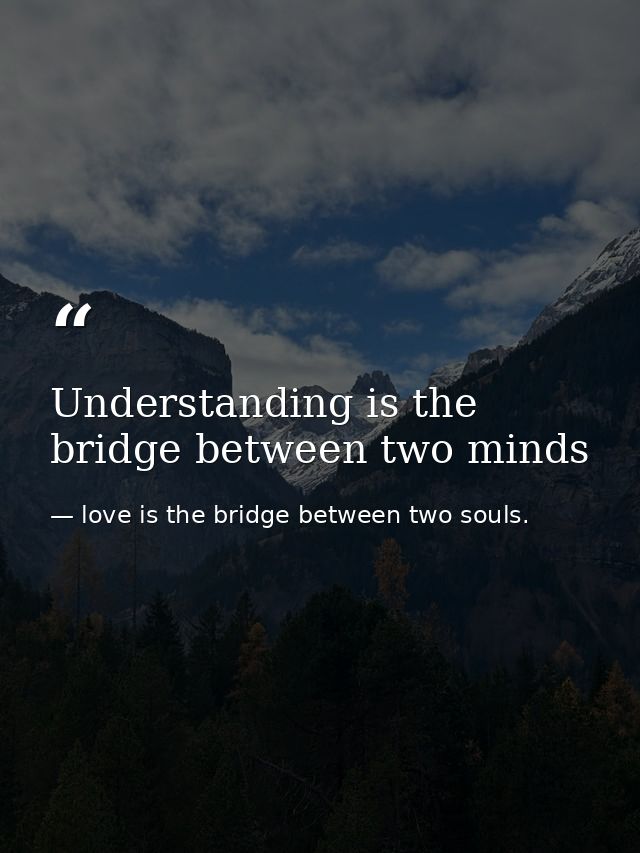 Understanding is the bridge between two minds — love is the bridge between two souls.
