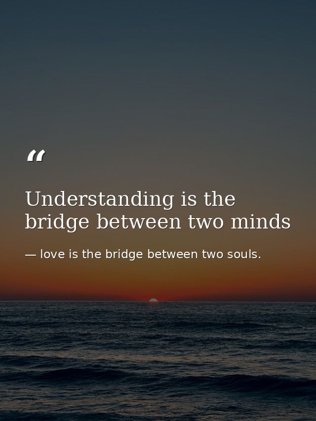Understanding is the bridge between two minds — love is the bridge between two souls.