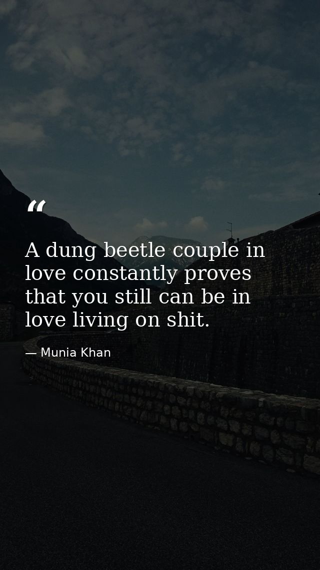 A dung beetle couple in love constantly proves that you still can be in love living on shit. — Munia Khan