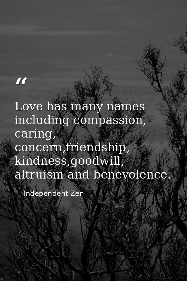 Love has many names including compassion, caring, concern,friendship, kindness,goodwill, altruism and benevolence. — Independent Zen