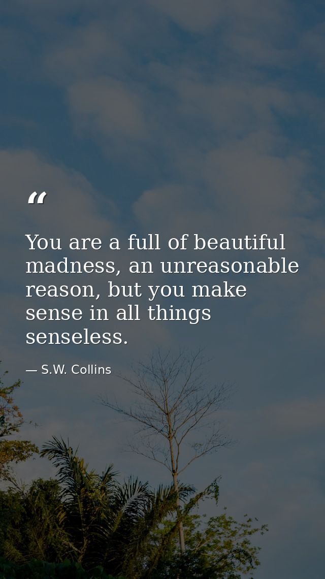 You are a full of beautiful madness, an unreasonable reason, but you make sense in all things senseless. — S.W. Collins