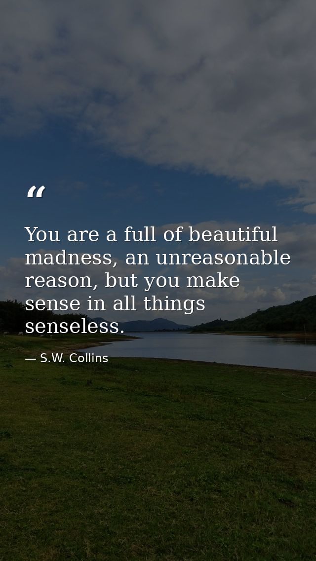 You are a full of beautiful madness, an unreasonable reason, but you make sense in all things senseless. — S.W. Collins