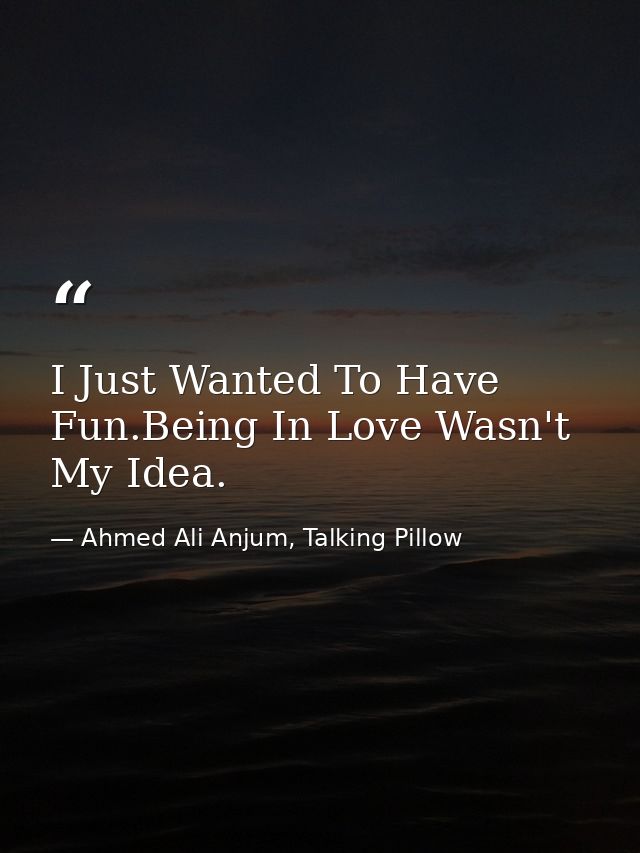 I Just Wanted To Have Fun.Being In Love Wasn't My Idea. — Ahmed Ali Anjum, Talking Pillow