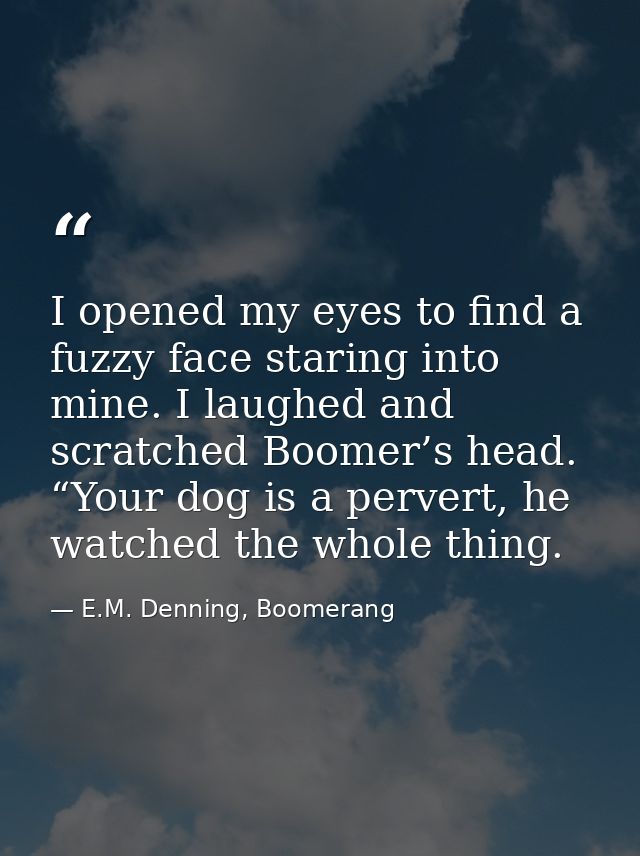 I opened my eyes to find a fuzzy face staring into mine. I laughed and scratched Boomer’s head. “Your dog is a pervert,  — E.M. Denning, Boomerang