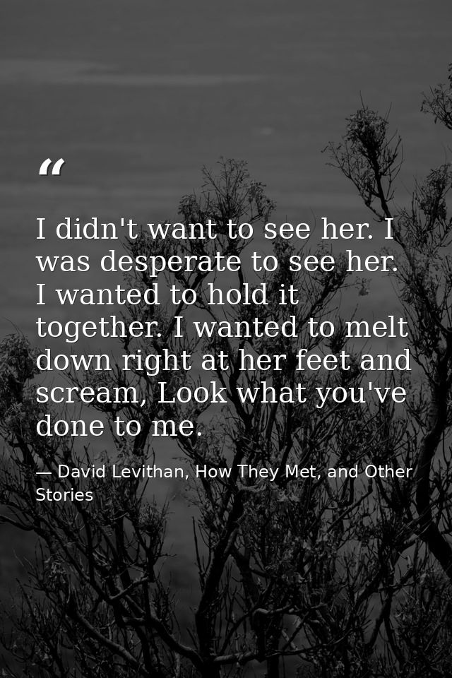 I didn't want to see her. I was desperate to see her. I wanted to hold it together. I wanted to melt down right at her f — David Levithan, How They Met, and Other Stories