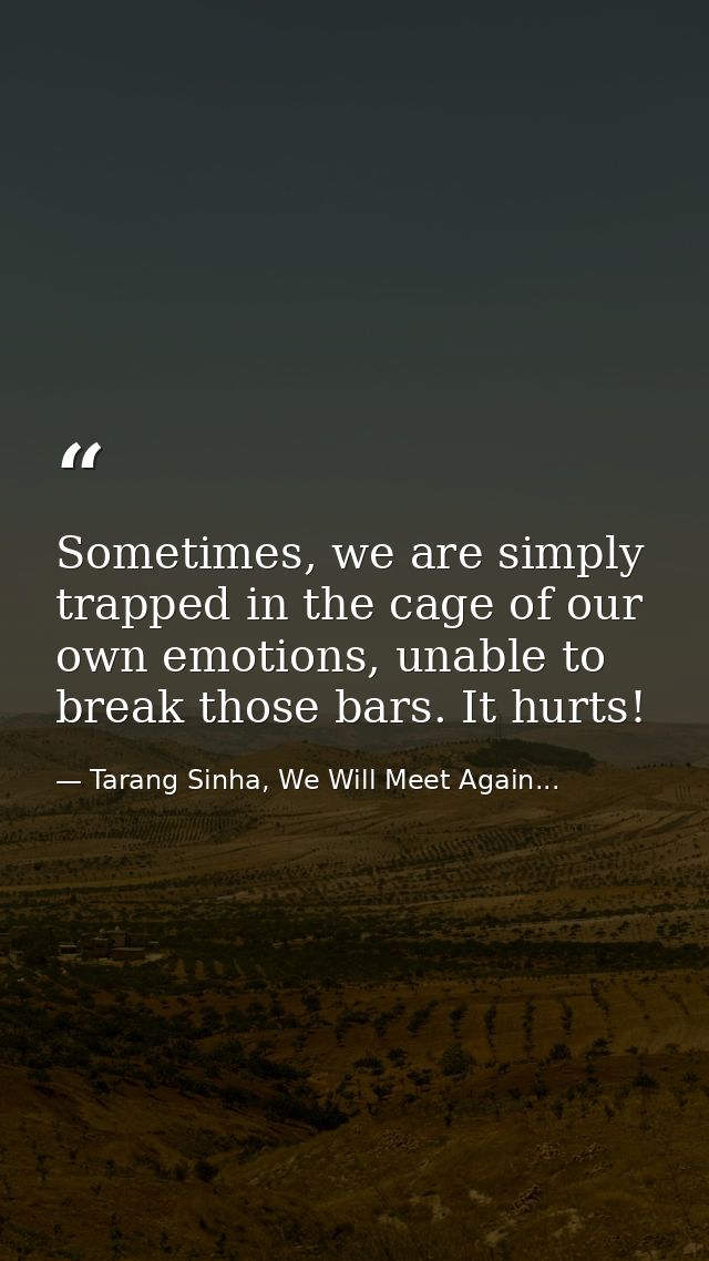 Sometimes, we are simply trapped in the cage of our own emotions, unable to break those bars. It hurts! — Tarang Sinha, We Will Meet Again...