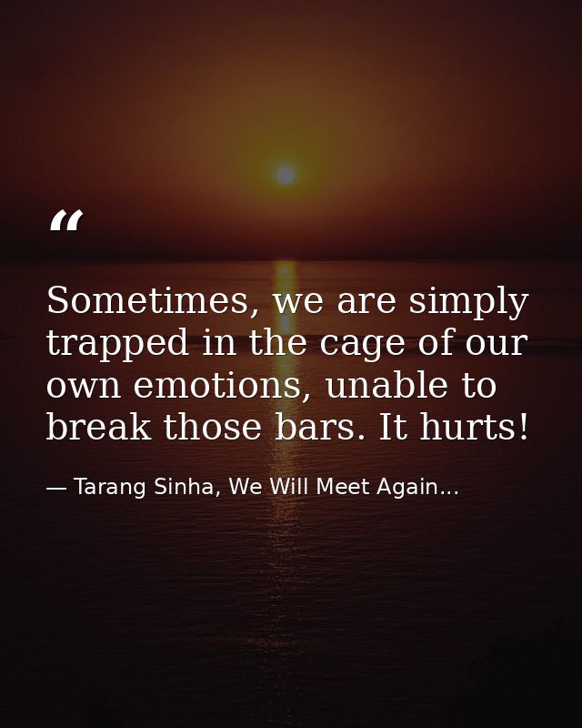 Sometimes, we are simply trapped in the cage of our own emotions, unable to break those bars. It hurts! — Tarang Sinha, We Will Meet Again...
