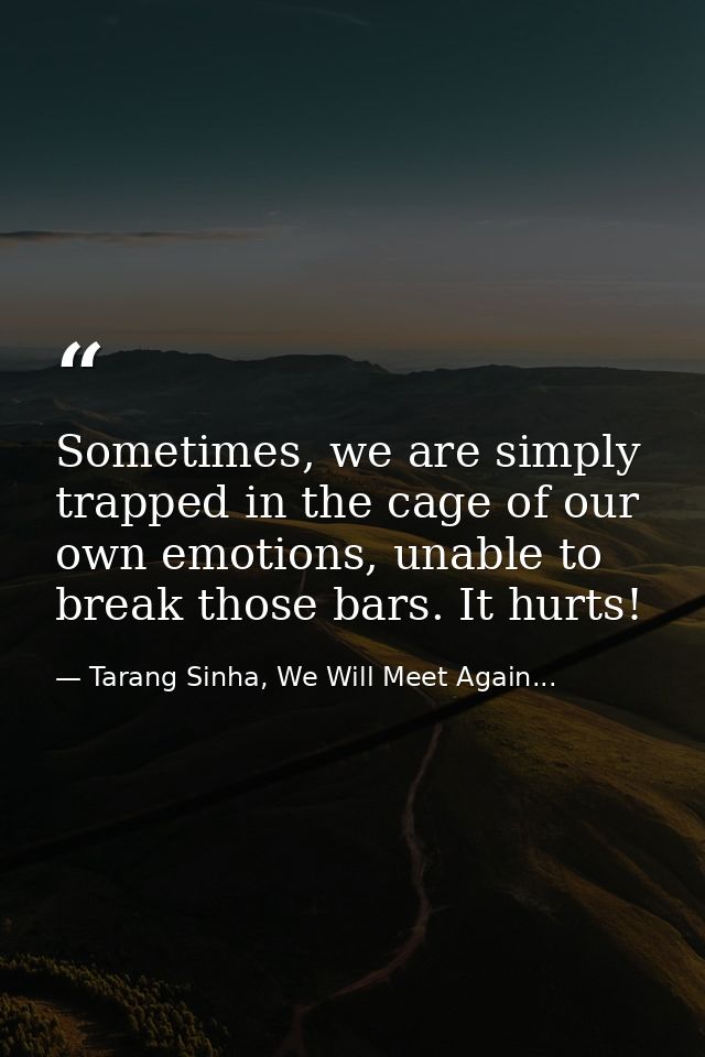 Sometimes, we are simply trapped in the cage of our own emotions, unable to break those bars. It hurts! — Tarang Sinha, We Will Meet Again...