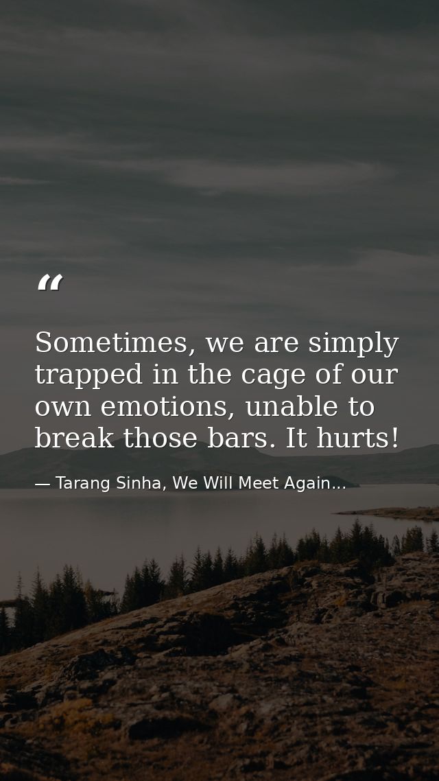 Sometimes, we are simply trapped in the cage of our own emotions, unable to break those bars. It hurts! — Tarang Sinha, We Will Meet Again...
