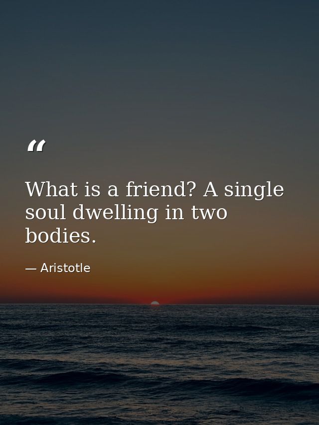 What is a friend? A single soul dwelling in two bodies. — Aristotle