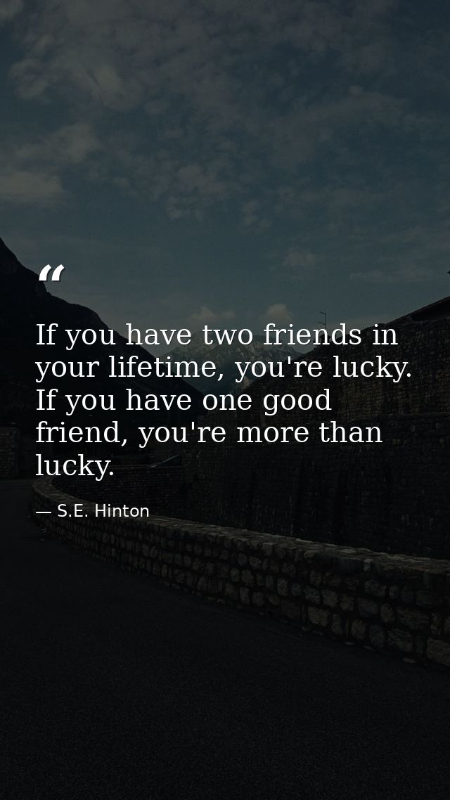 If you have two friends in your lifetime, you're lucky. If you have one good friend, you're more than lucky. — S.E. Hinton