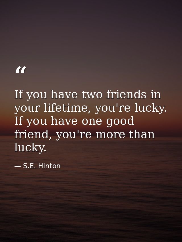If you have two friends in your lifetime, you're lucky. If you have one good friend, you're more than lucky. — S.E. Hinton