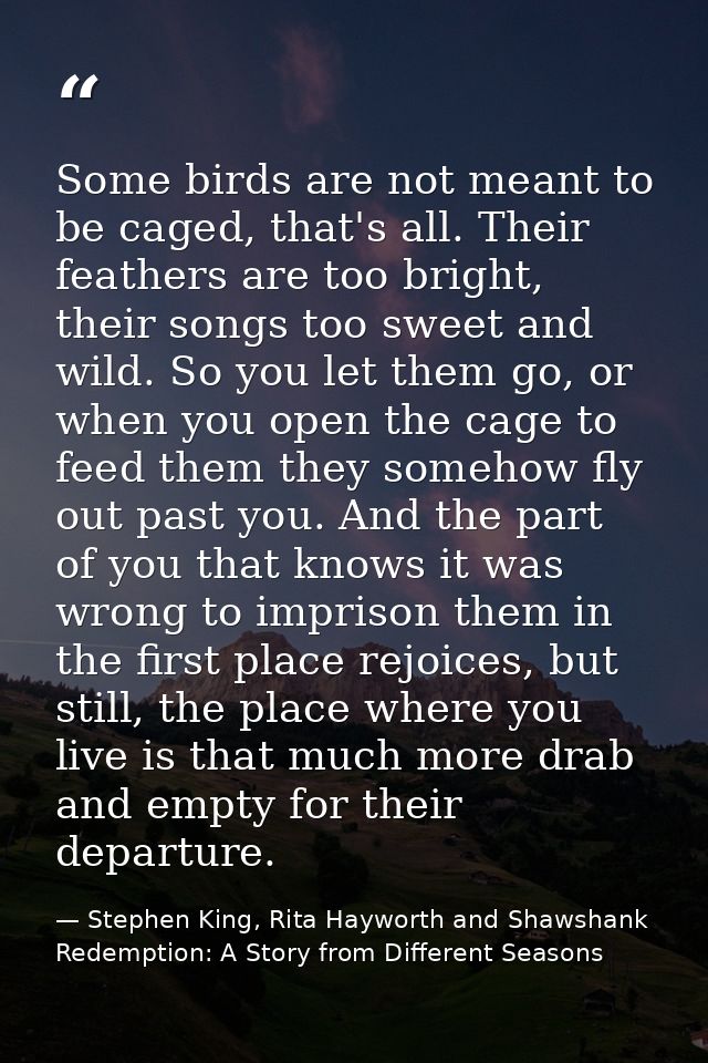 Some birds are not meant to be caged, that's all. Their feathers are too bright, their songs too sweet and wild. So you  — Stephen King, Rita Hayworth and Shawshank Redemption: A Story from Different Seasons