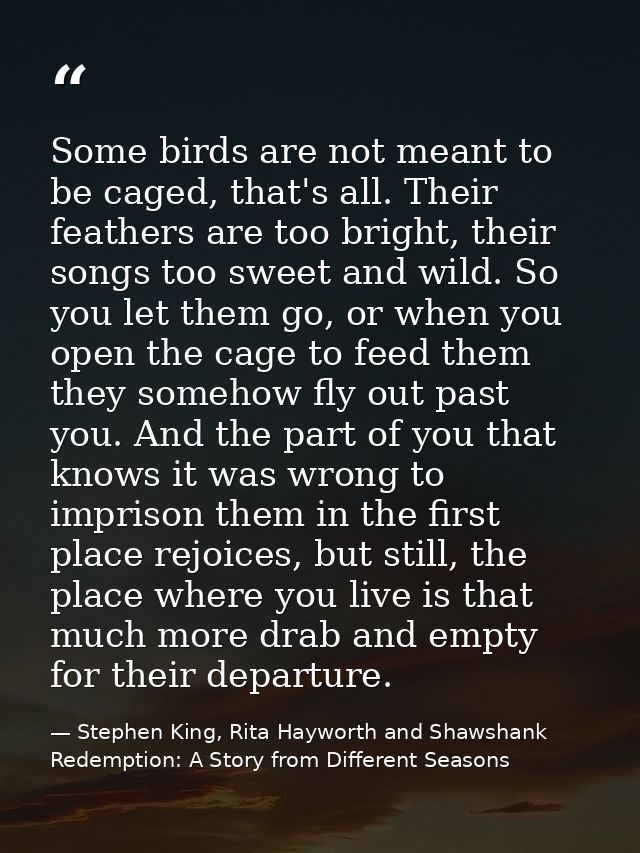 Some birds are not meant to be caged, that's all. Their feathers are too bright, their songs too sweet and wild. So you  — Stephen King, Rita Hayworth and Shawshank Redemption: A Story from Different Seasons