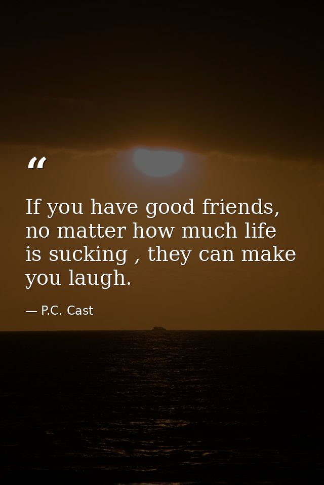 If you have good friends, no matter how much life is sucking , they can make you laugh. — P.C. Cast