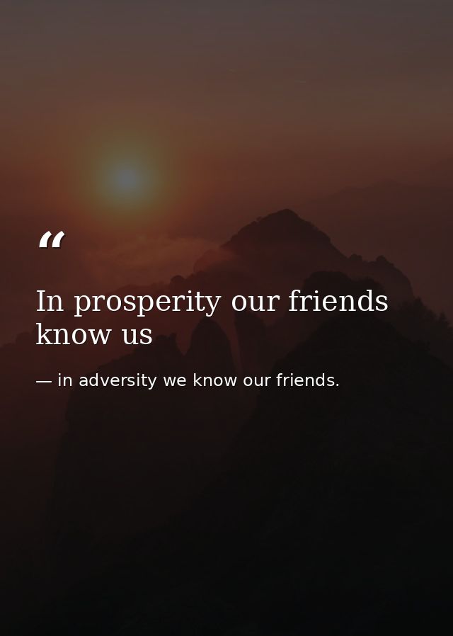 In prosperity our friends know us — in adversity we know our friends.