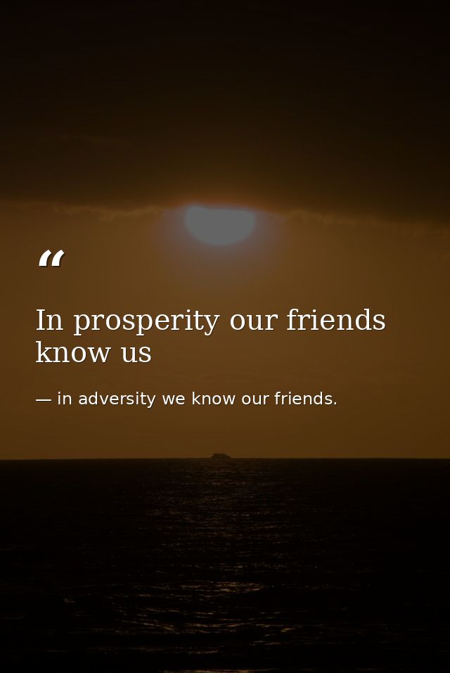 In prosperity our friends know us — in adversity we know our friends.