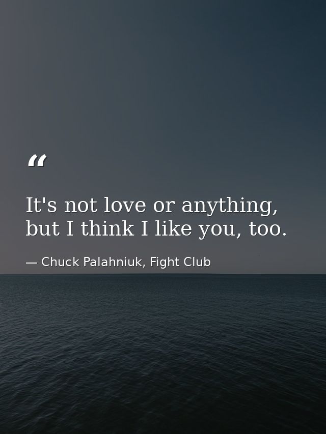It's not love or anything, but I think I like you, too. — Chuck Palahniuk, Fight Club