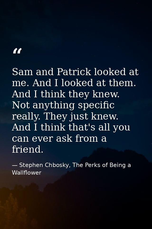 Sam and Patrick looked at me. And I looked at them. And I think they knew. Not anything specific really. They just knew. — Stephen Chbosky, The Perks of Being a Wallflower
