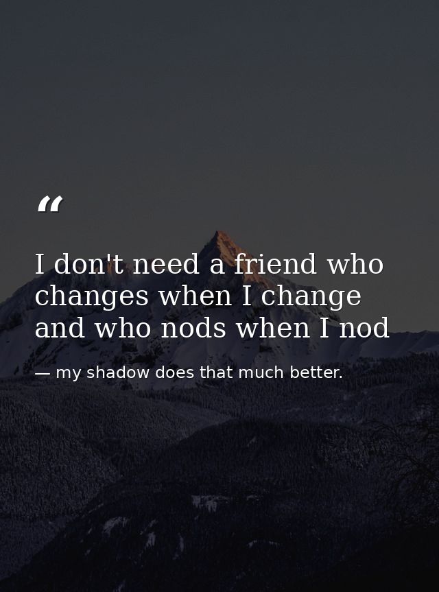 I don't need a friend who changes when I change and who nods when I nod — my shadow does that much better.