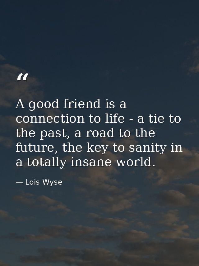 A good friend is a connection to life - a tie to the past, a road to the future, the key to sanity in a totally insane w — Lois Wyse