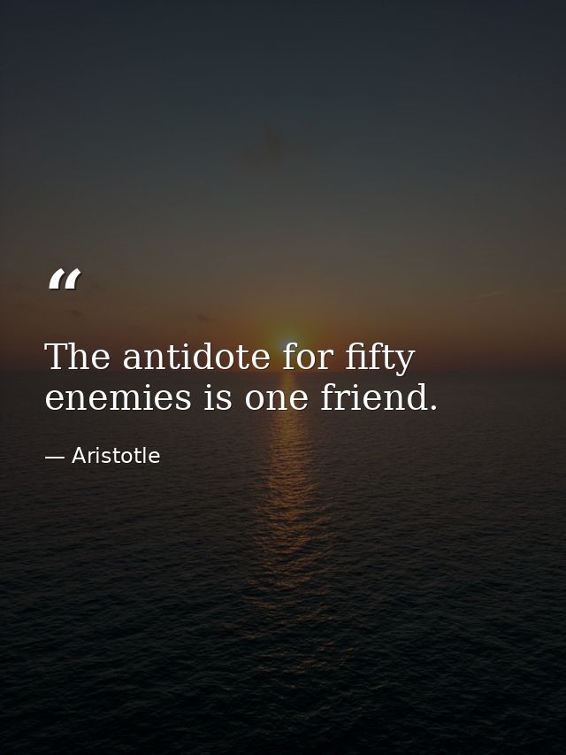The antidote for fifty enemies is one friend. — Aristotle