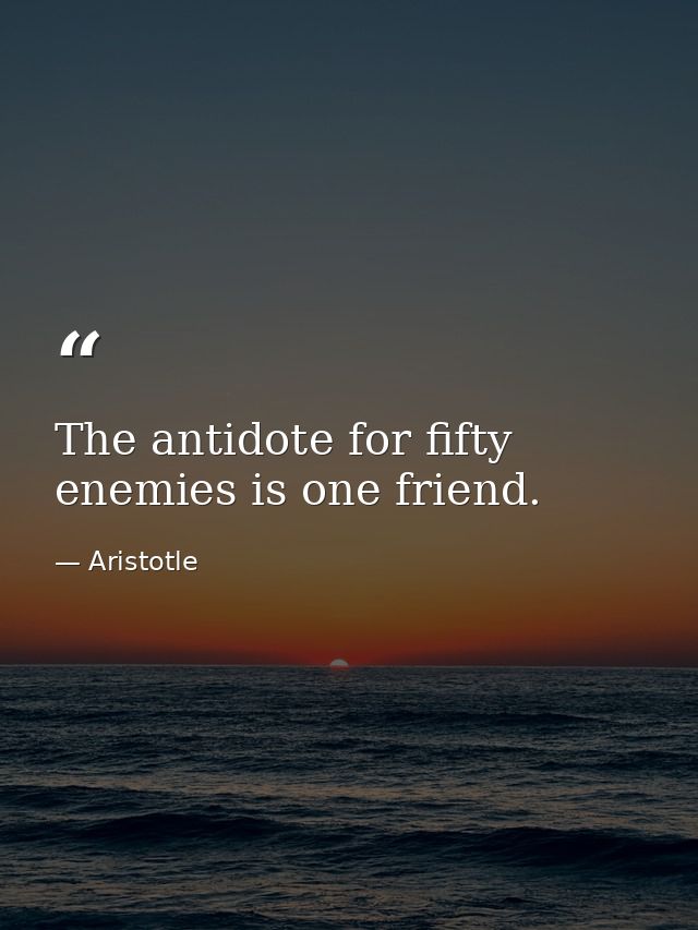 The antidote for fifty enemies is one friend. — Aristotle