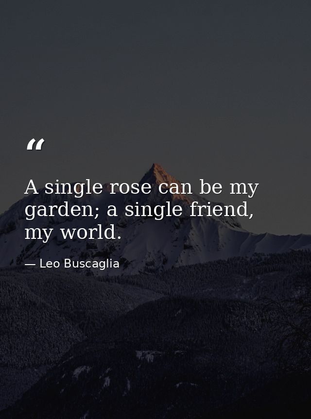 A single rose can be my garden; a single friend, my world. — Leo Buscaglia