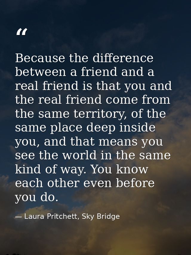 Because the difference between a friend and a real friend is that you and the real friend come from the same territory,  — Laura Pritchett, Sky Bridge