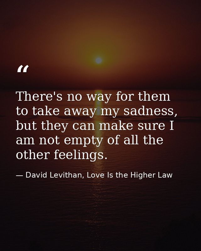 There's no way for them to take away my sadness, but they can make sure I am not empty of all the other feelings. — David Levithan, Love Is the Higher Law