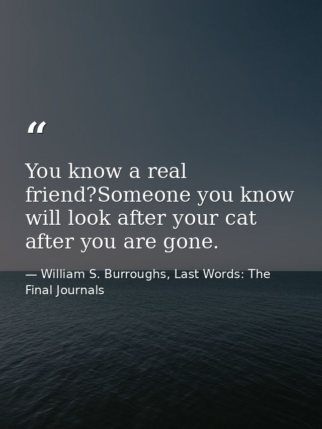 You know a real friend?Someone you know will look after your cat after you are gone. — William S. Burroughs, Last Words: The Final Journals