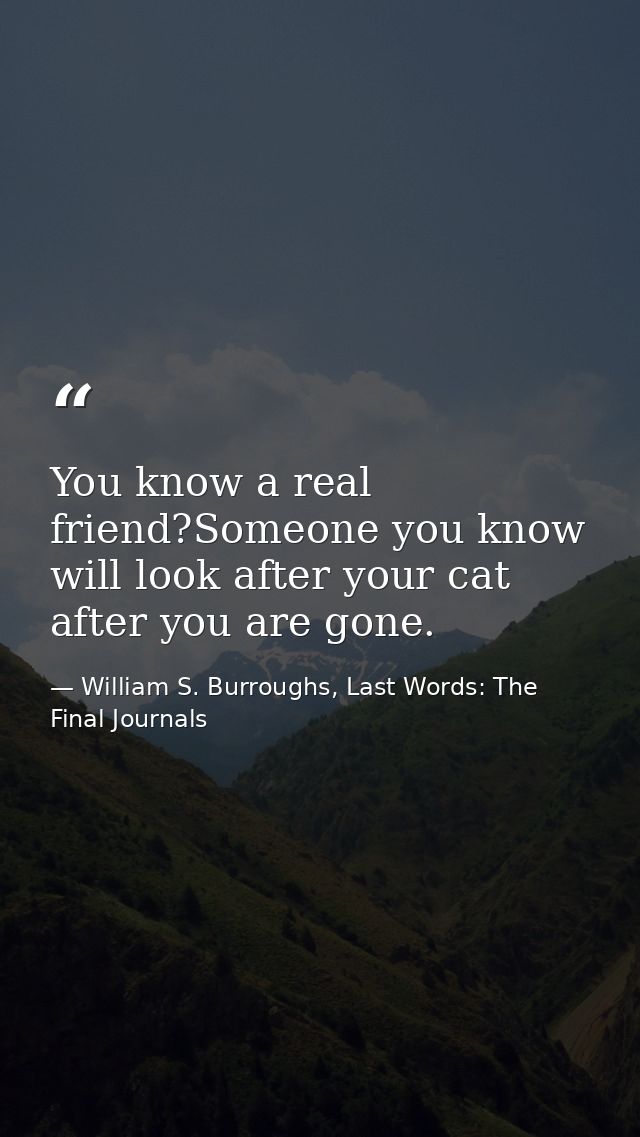 You know a real friend?Someone you know will look after your cat after you are gone. — William S. Burroughs, Last Words: The Final Journals