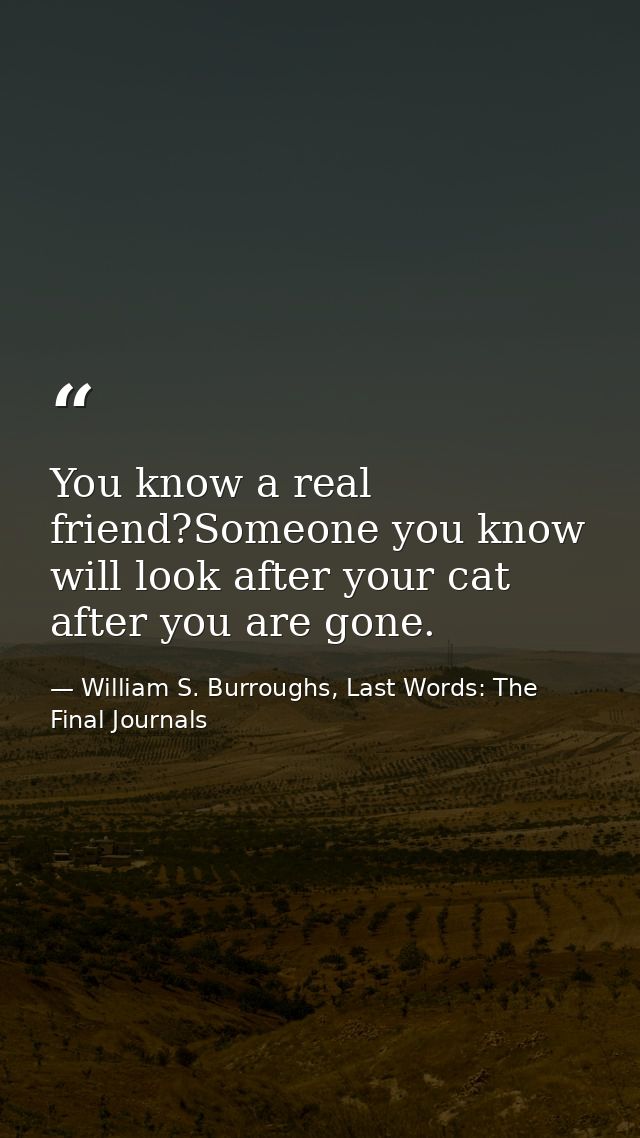 You know a real friend?Someone you know will look after your cat after you are gone. — William S. Burroughs, Last Words: The Final Journals