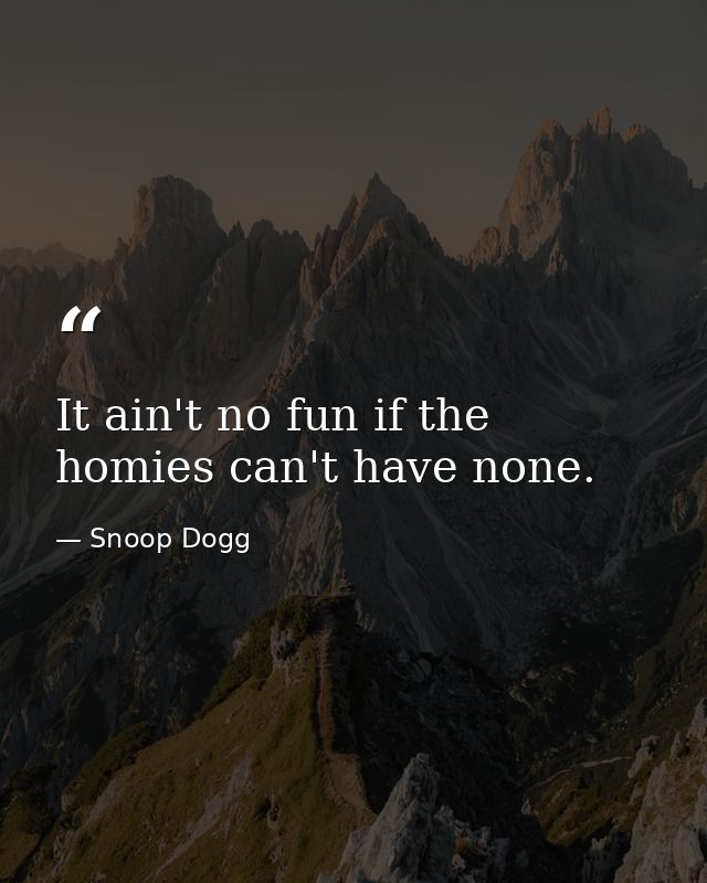 It ain't no fun if the homies can't have none. — Snoop Dogg