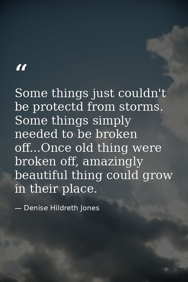 Some things just couldn't be protectd from storms. Some things simply needed to be broken off...Once old thing were brok — Denise Hildreth Jones
