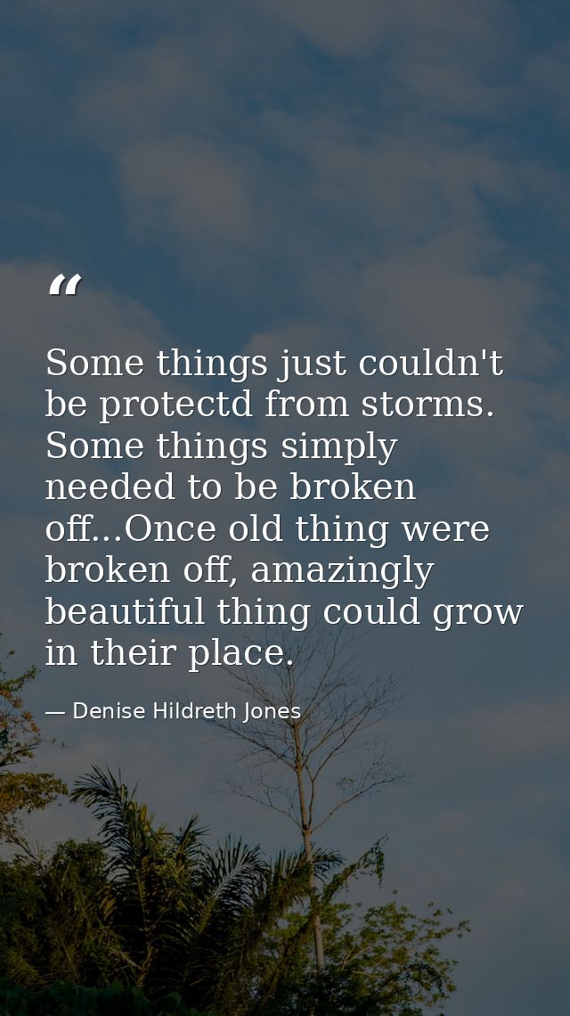Some things just couldn't be protectd from storms. Some things simply needed to be broken off...Once old thing were brok — Denise Hildreth Jones